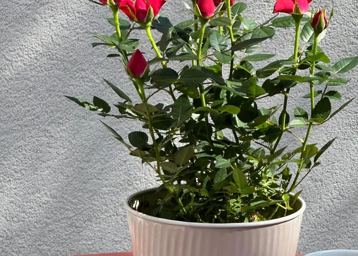 La Dimora Di Augusto 4*